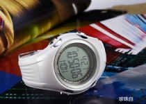 Pedometer Watch